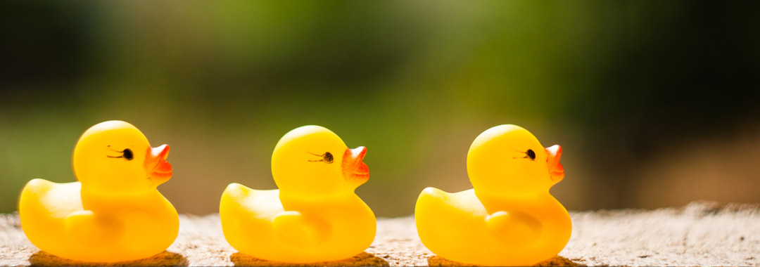 Ducks in a Row